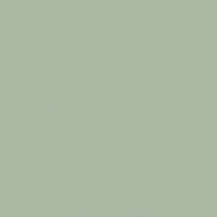 NCS S3010-G50Y Pistachio